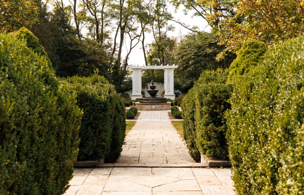 Read more about the article Wheaton Photographer | Hurley Gardens