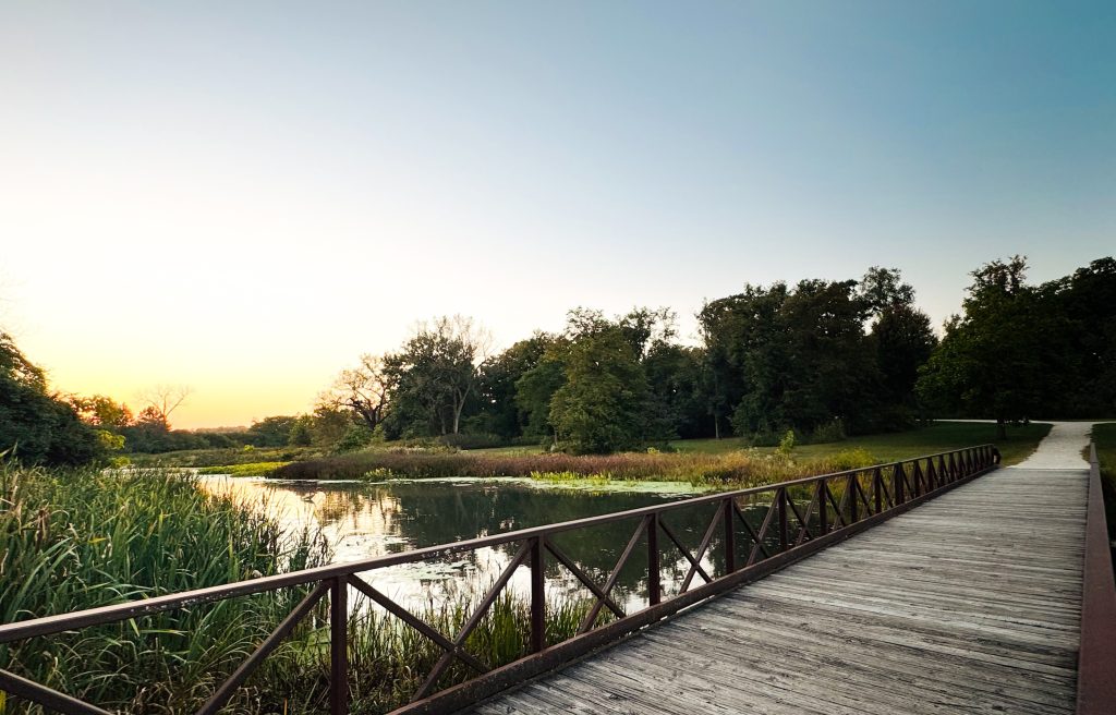 Read more about the article Glen Ellyn Photographer | Churchill Woods